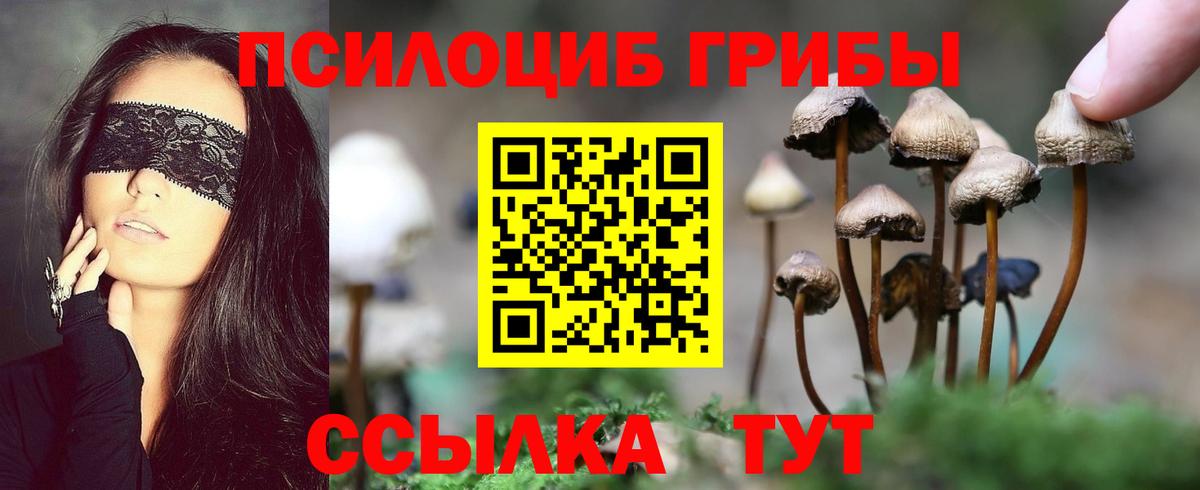 Псилоцибиновые грибы мицелий Реж
