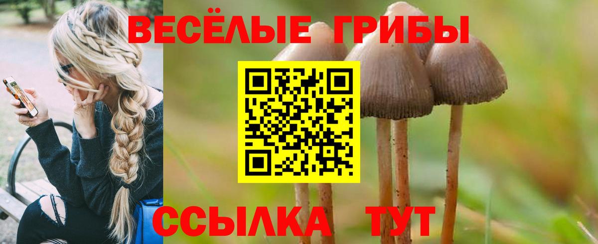 Псилоцибиновые грибы Psilocybe  Вход с VPN  Реж 